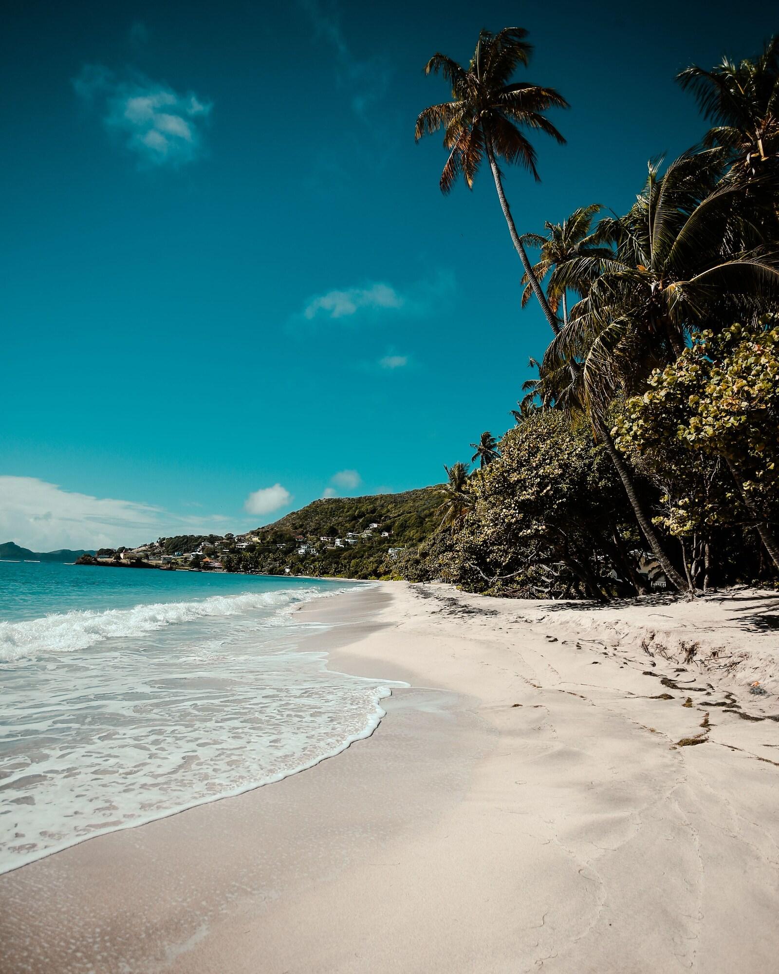 Bequia Beach Port Elizabeth 外观 照片